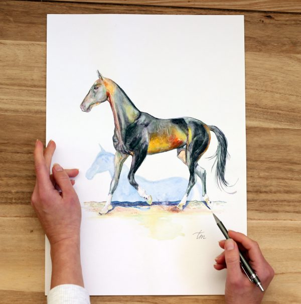 Watercolour painting of a horse running lightly on a white background, with its shadow following.
