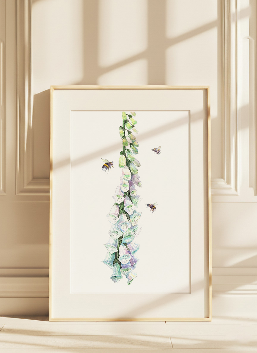Watercolour illustration of a tall foxglove stem with pale purple and green bell-shaped flowers, accompanied by three bees flying around the blooms on a white background
