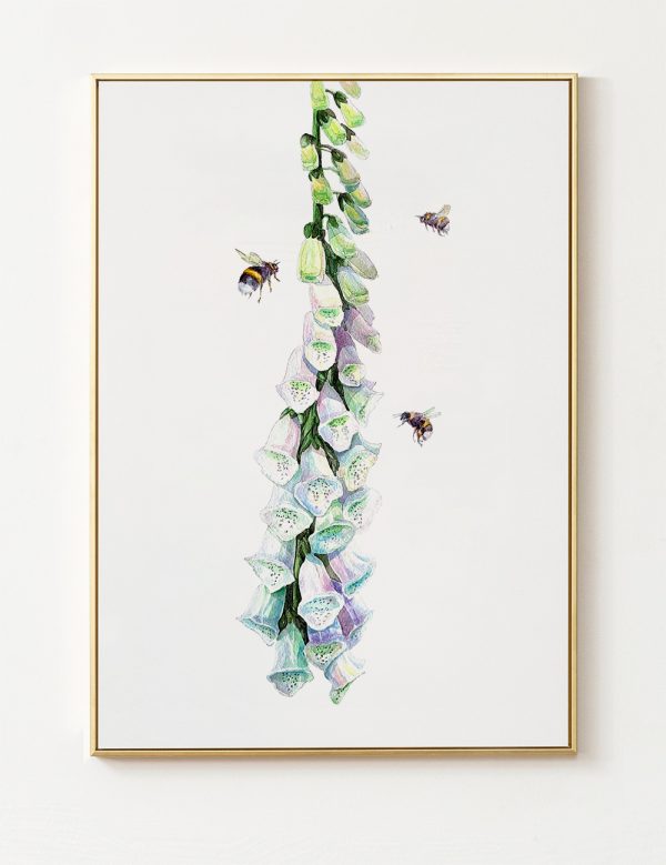 Botanical Foxgloves and Bees Floral Art Print – Watercolour Nature Print – Home Decor