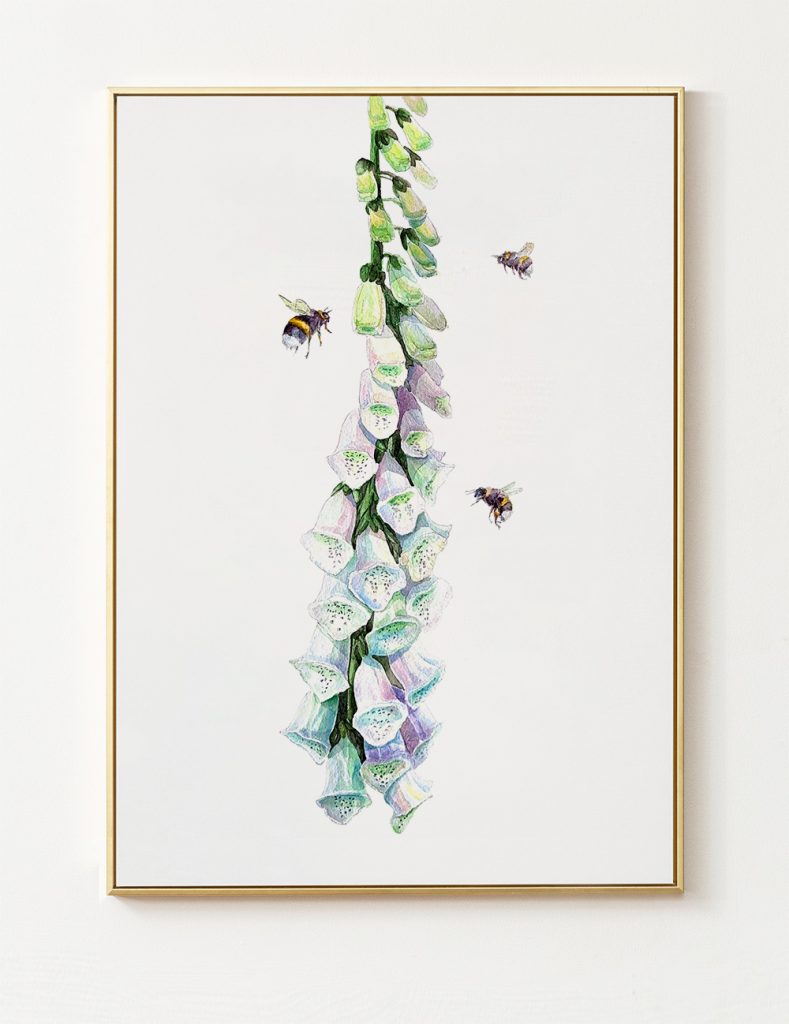 Watercolour illustration of a tall foxglove stem with pale purple and green bell-shaped flowers, accompanied by three bees flying around the blooms on a white background